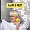 David Scott Tile, Bath & Stone