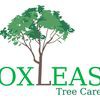 Oxleas Tree Care