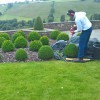 Flora Gardening