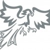 Phoenix Electrical
