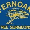 Fernoak Tree Surgeons