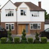 Dpg Construction & Services