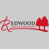 Redwood Landscapes