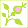 Bowercot Garden Design