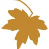 Three Counties Landscaping Tree Services