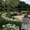 Evergreen Garden Design & Build