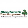 Blendworth Tree Surgeons