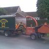 Richardson Tree Surgery