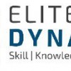 Elite Dynamics