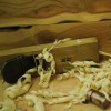Ross Langley, Bespoke Furniture & Joinery