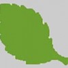 Hunter Landscapes