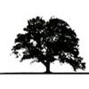 I C S Tree Services