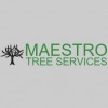 Maestro Tree Services