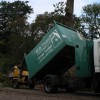 M B Trees East Anglia