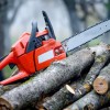 Oxfordshire Tree Services