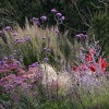 Go Wild Landscapes