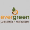 Evergreen Landscaping