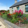 Heather Dale Garden Design