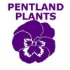 Pentland Plants