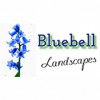 Bluebell Landscapes
