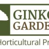 Ginkgo