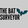 The Bat Surveyor