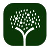 Craig Chisholm Tree Surgery
