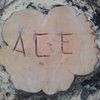Ace Tree Services