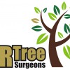 D R Tree Surgeons