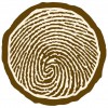 Newcastle Tree Services