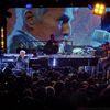 Swans Music
