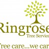 Ringrose Tree Services