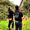 Treecreeper Arborists