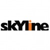 Skyline Construction