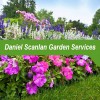 Daniel Scanlan Garden Services