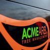 Acme Arb
