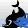 Dolphin Removals