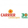 Carrier Landscapes