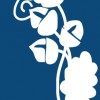 Moir Wade Design
