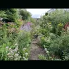 Garden Displays