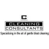 Cleaning Consultants