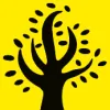 Kevin Patton Tree Surgeon