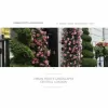 Urban Roots Landscapes