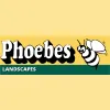 Phoebes Landscape