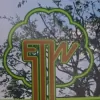 Evolution Tree Works