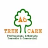A6 Tree Care