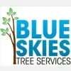 Blue Skies Tree Services