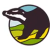 Badger Windows