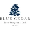 Blue Cedar Tree Surgeons