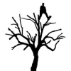 Walton's Tree Services